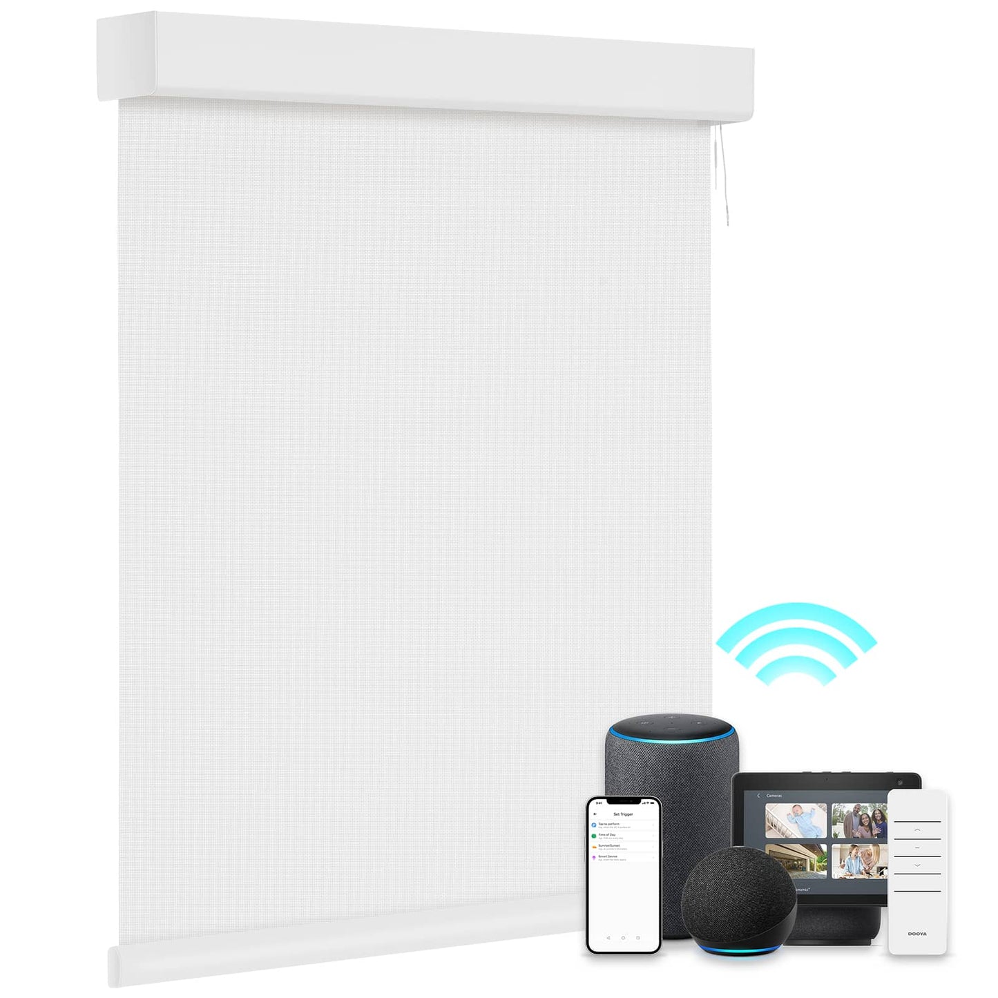 Smart Light Filtering Roller Blinds & Alexa Motorized