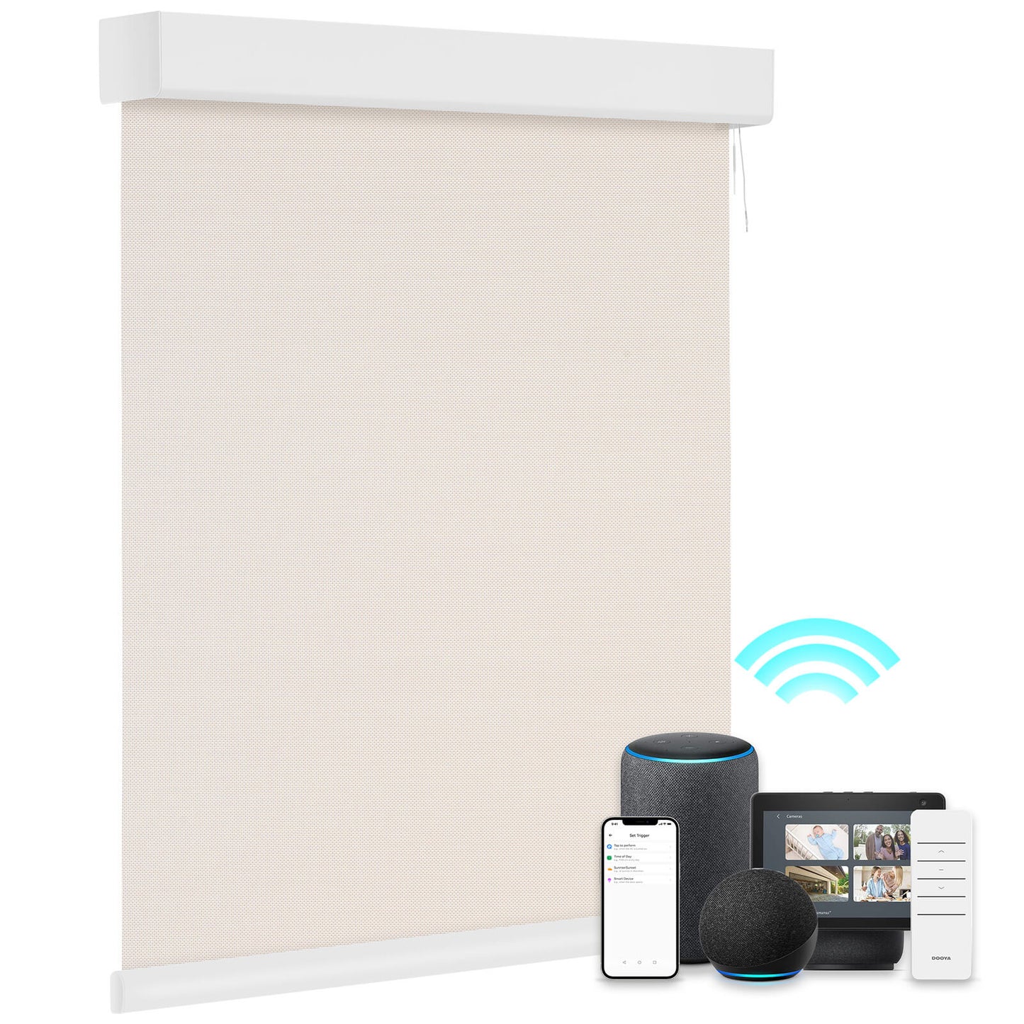 Smart Light Filtering Roller Blinds & Alexa Motorized