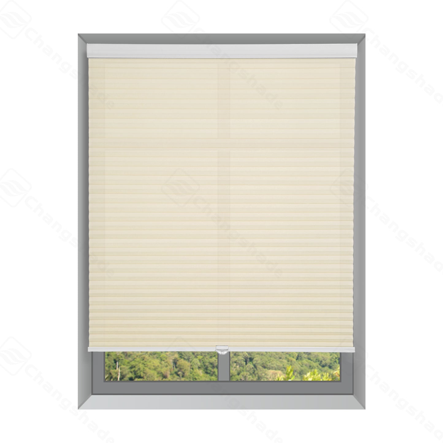 Custom 1.5 inch Cordless Light Filtering Cellular Shades