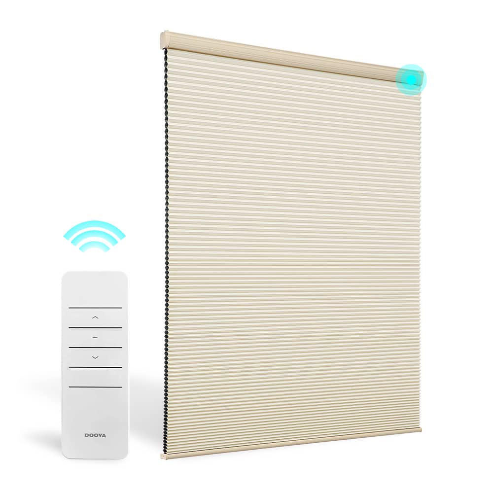 Motorized Blackout Cellular Shades