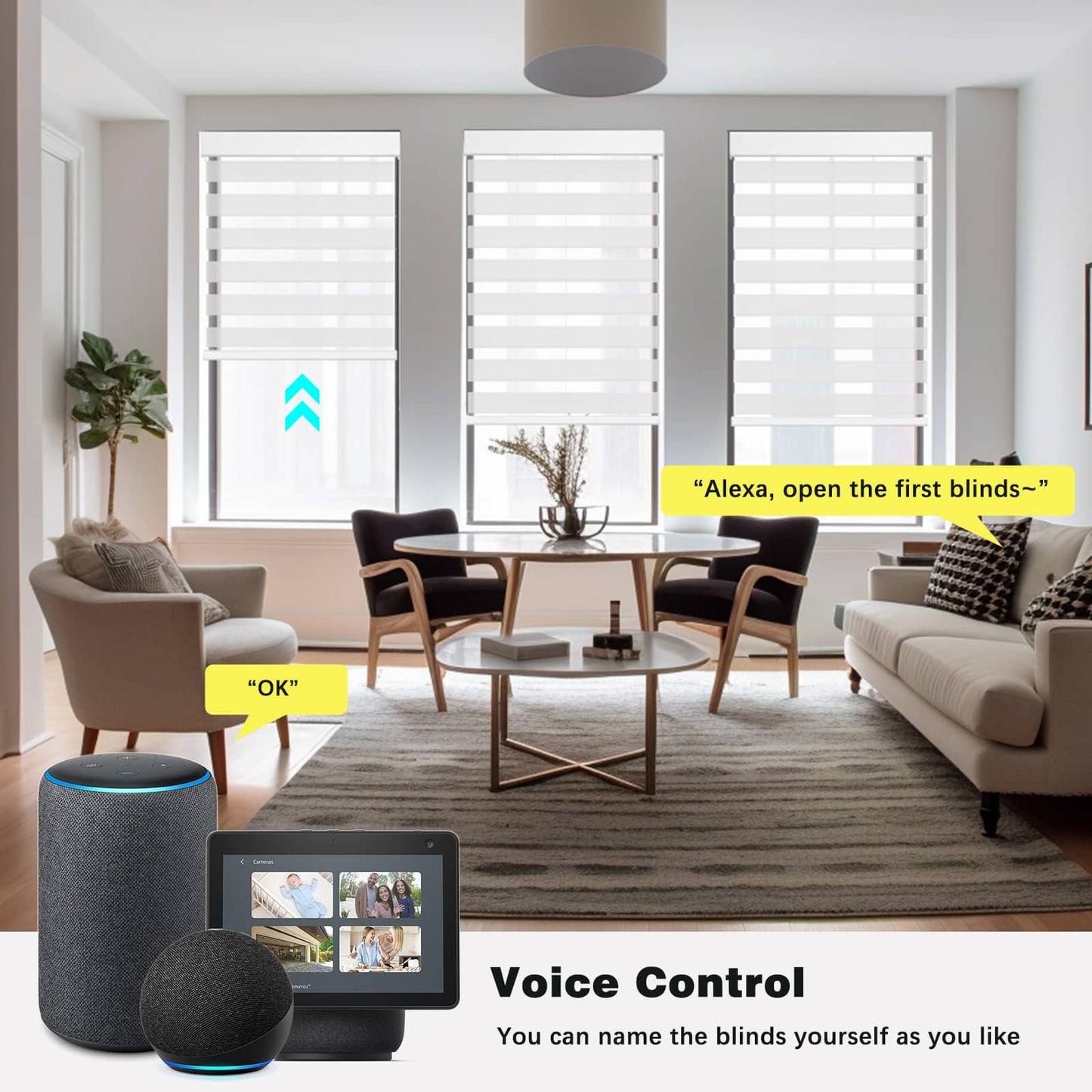 Smart Light Filtering Zebra Roller Blinds & Alexa IKEA SmartThings Motorized