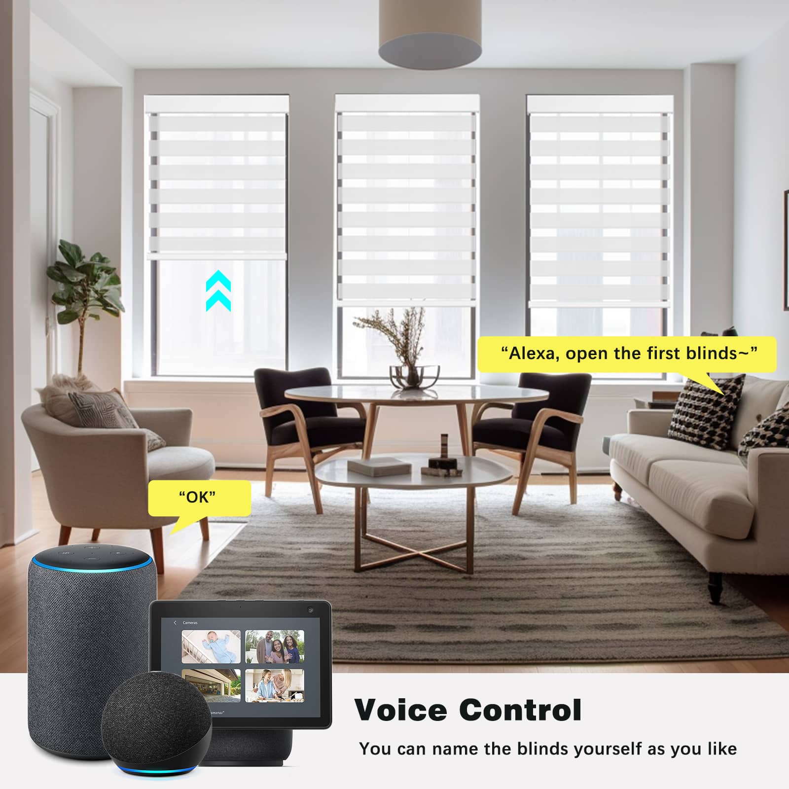 Smart Light Filtering Zebra Roller Blinds & Alexa IKEA SmartThings Motorized