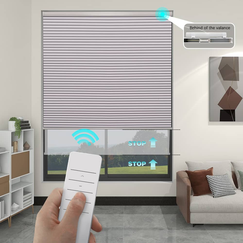 Motorized Blackout Cellular Shades