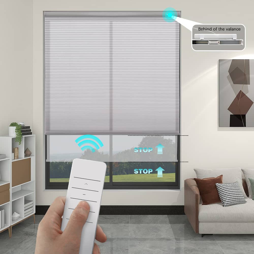 Motorized Light Filtering Cellular Shades