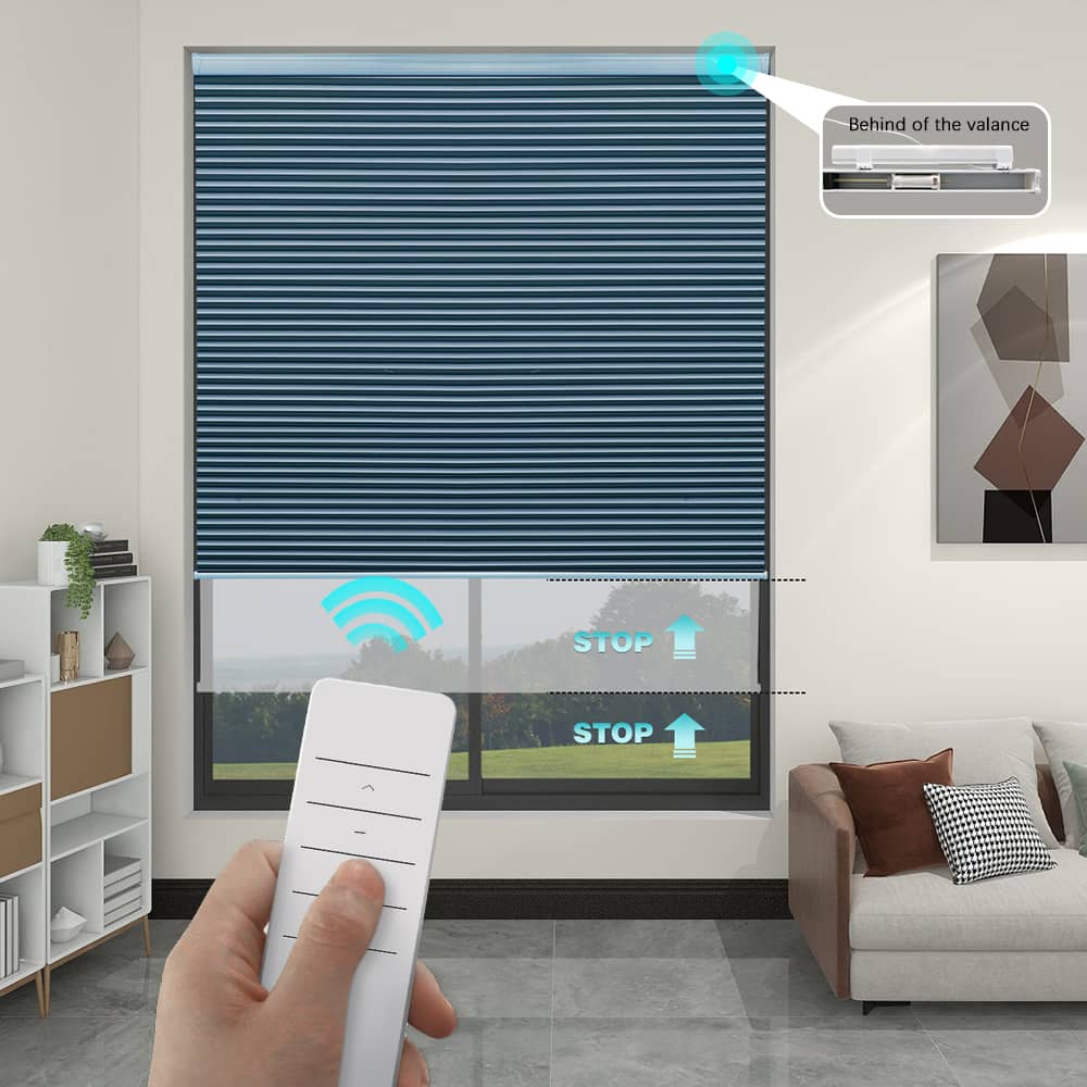 Motorized Blackout Cellular Shades