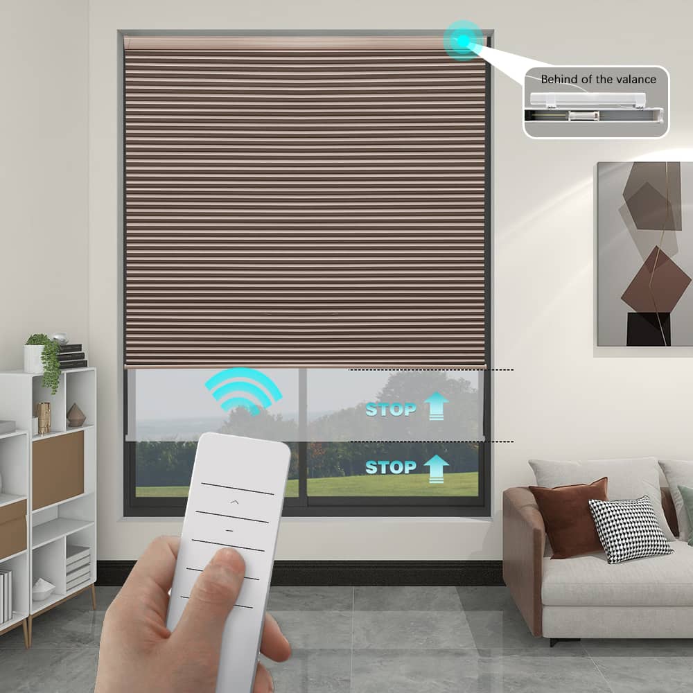Motorized Blackout Cellular Shades