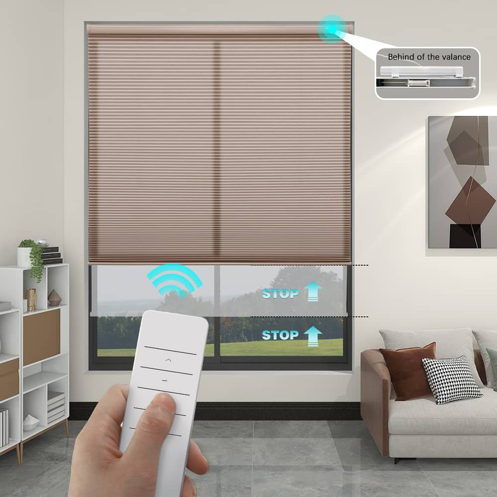 Motorized Light Filtering Cellular Shades