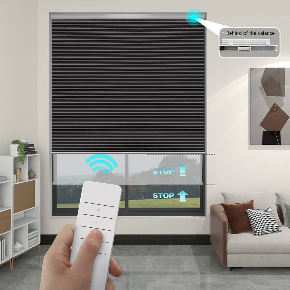 Motorized Blackout Cellular Shades