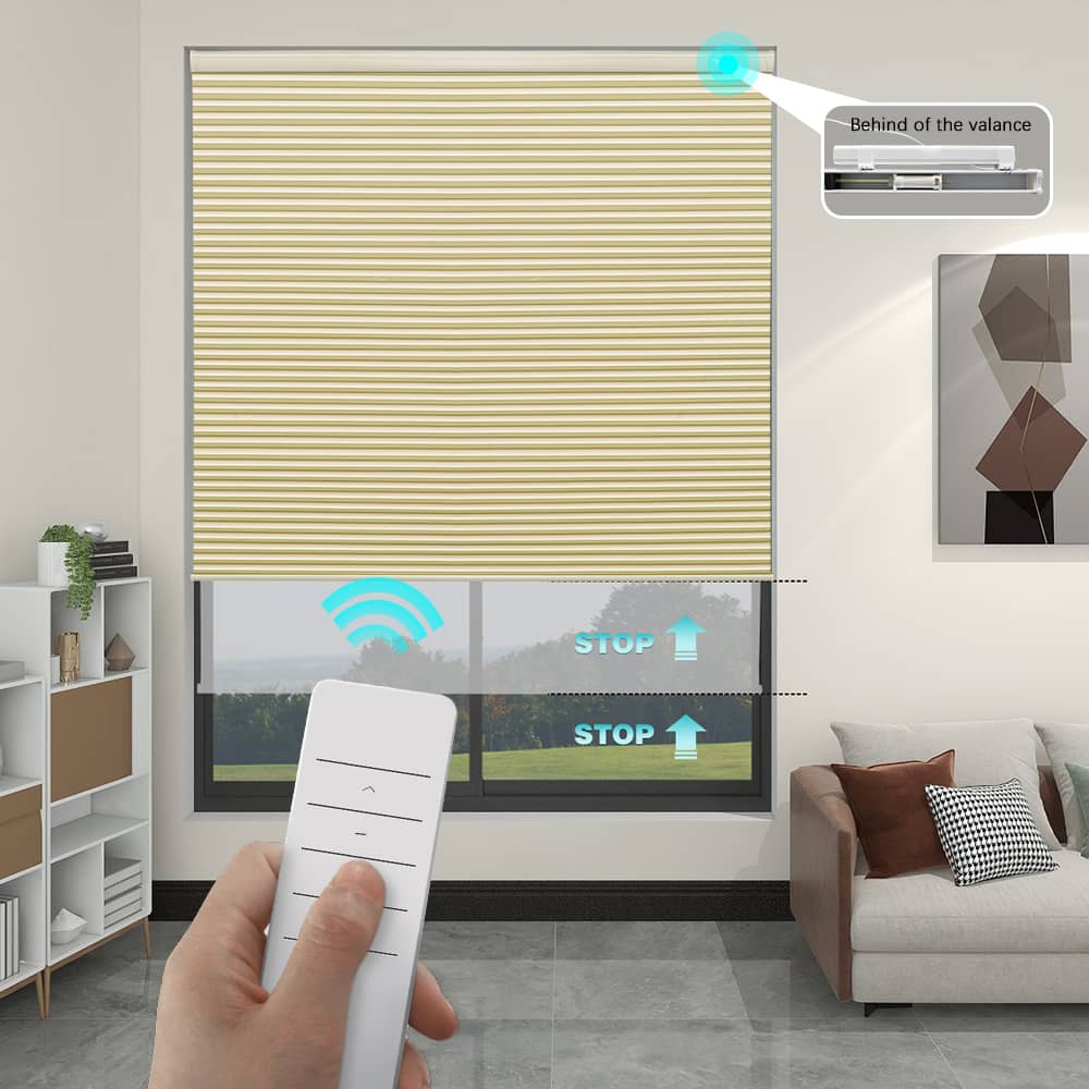 Motorized Blackout Cellular Shades