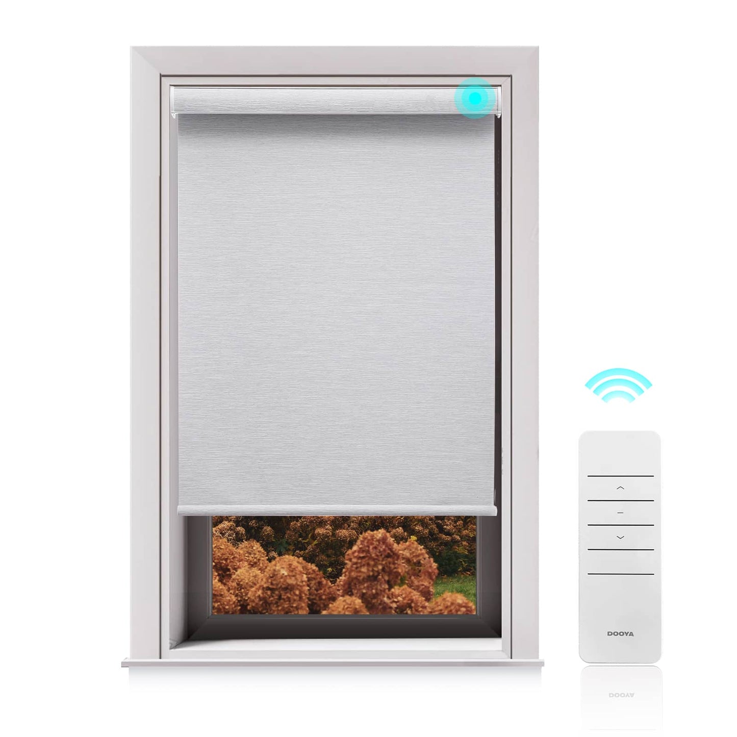 Motorized Blackout Roller Shades