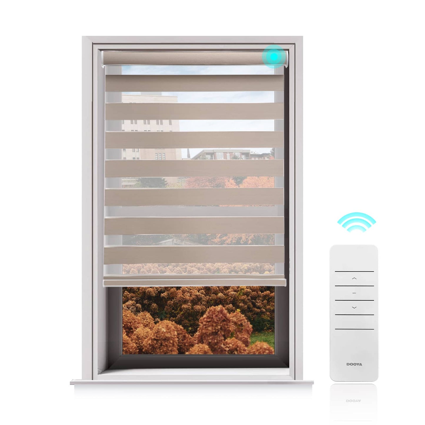 Motorized Blackout Zebra Roller Shades