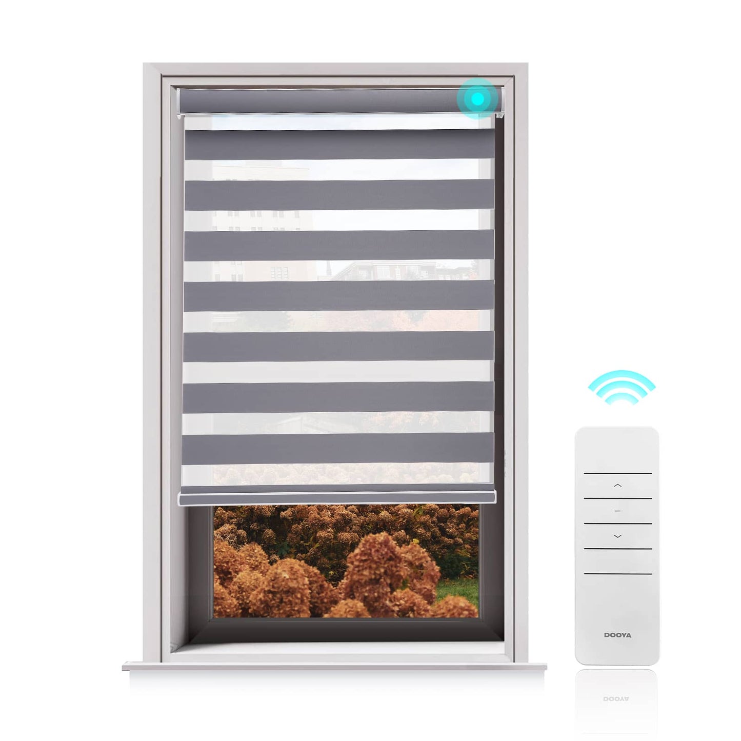 Motorized Blackout Zebra Roller Shades