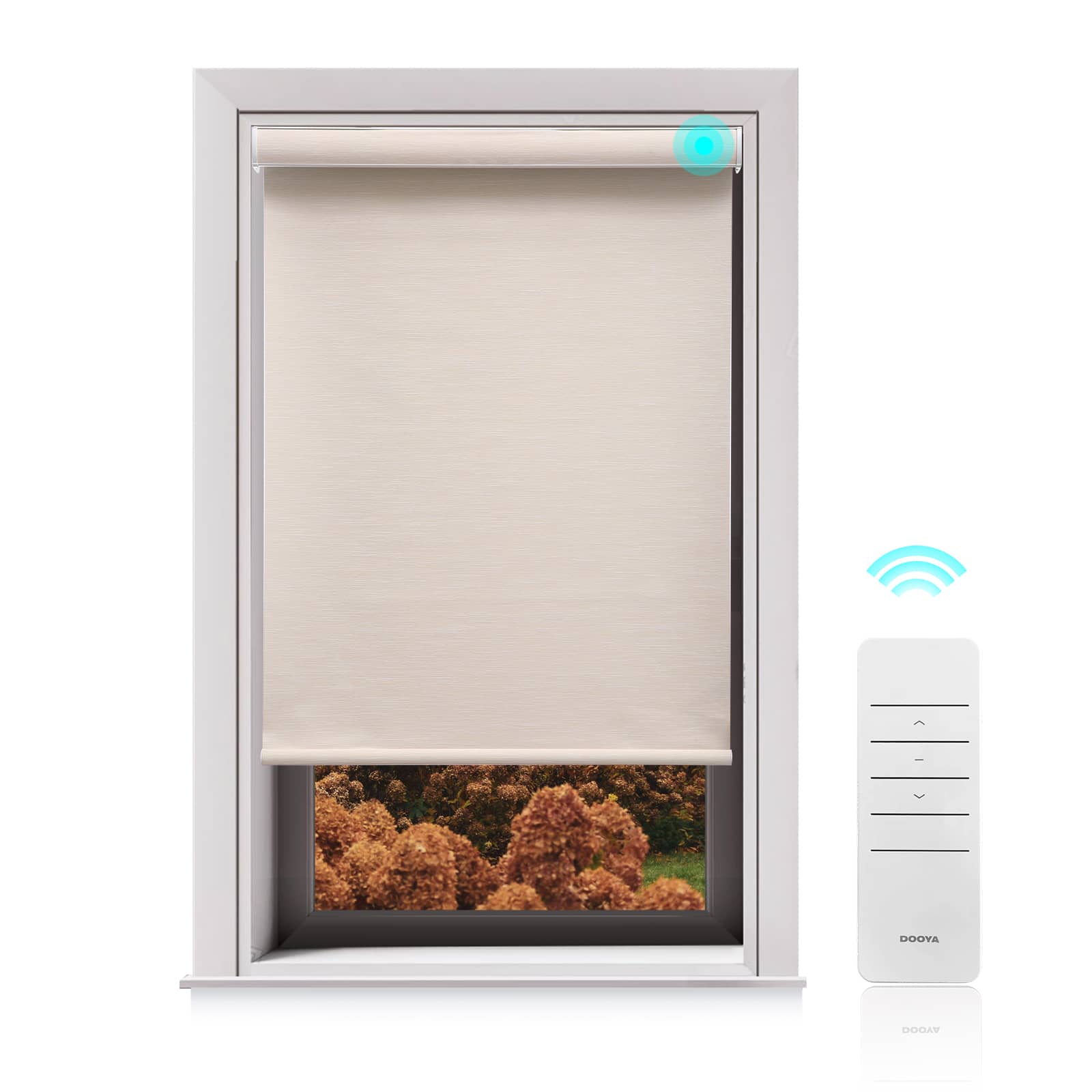 Motorized Blackout Roller Shades
