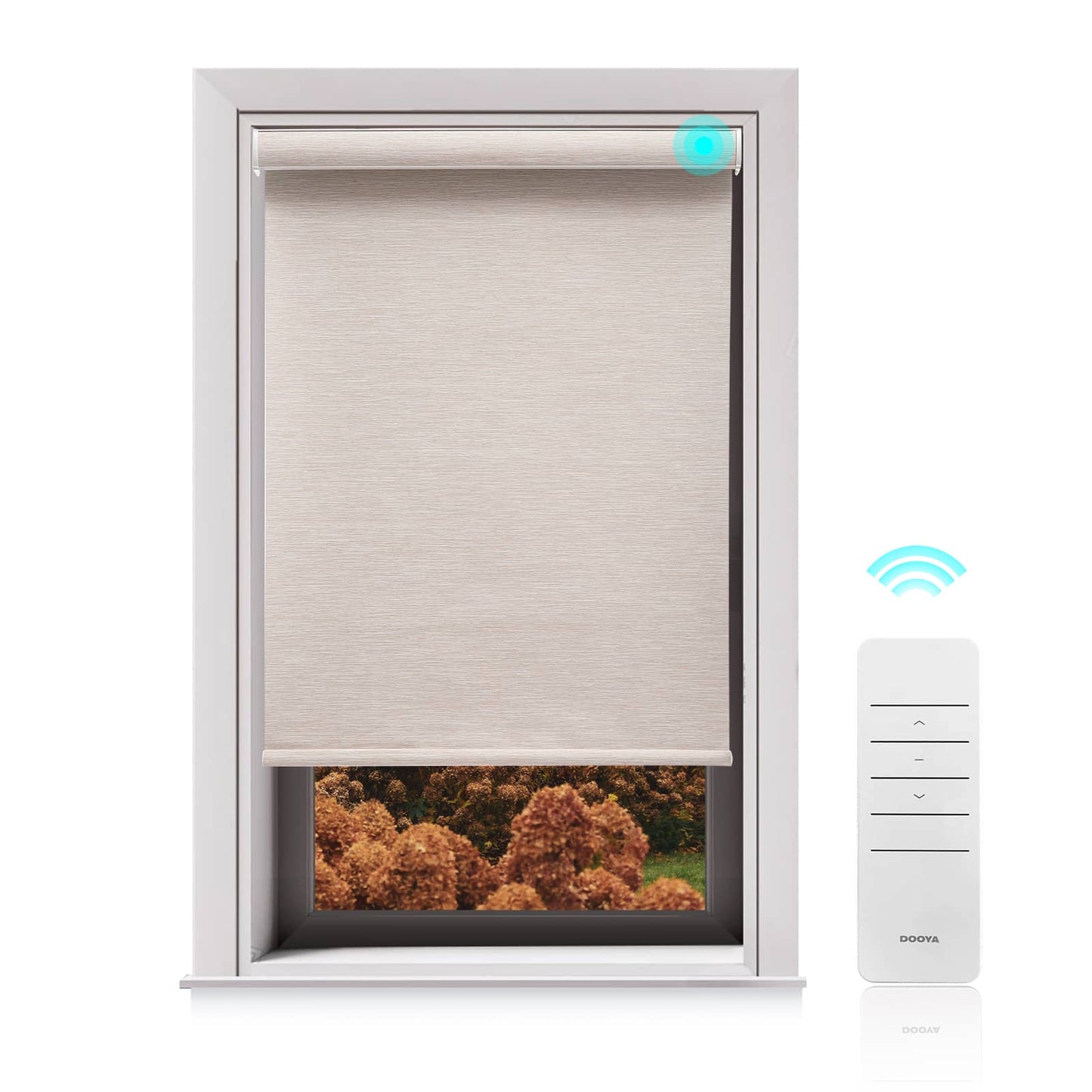 Motorized Blackout Roller Shades