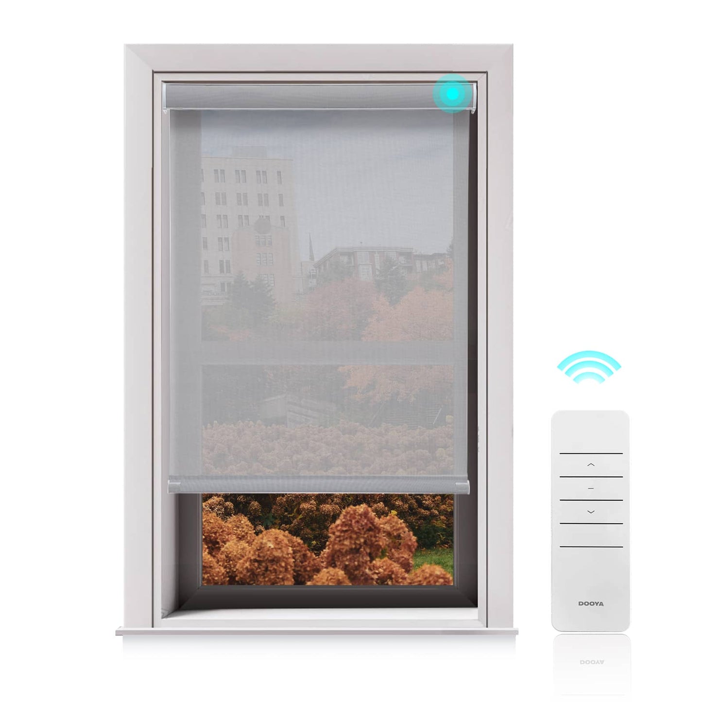 Motorized Light Filtering Roller Shades