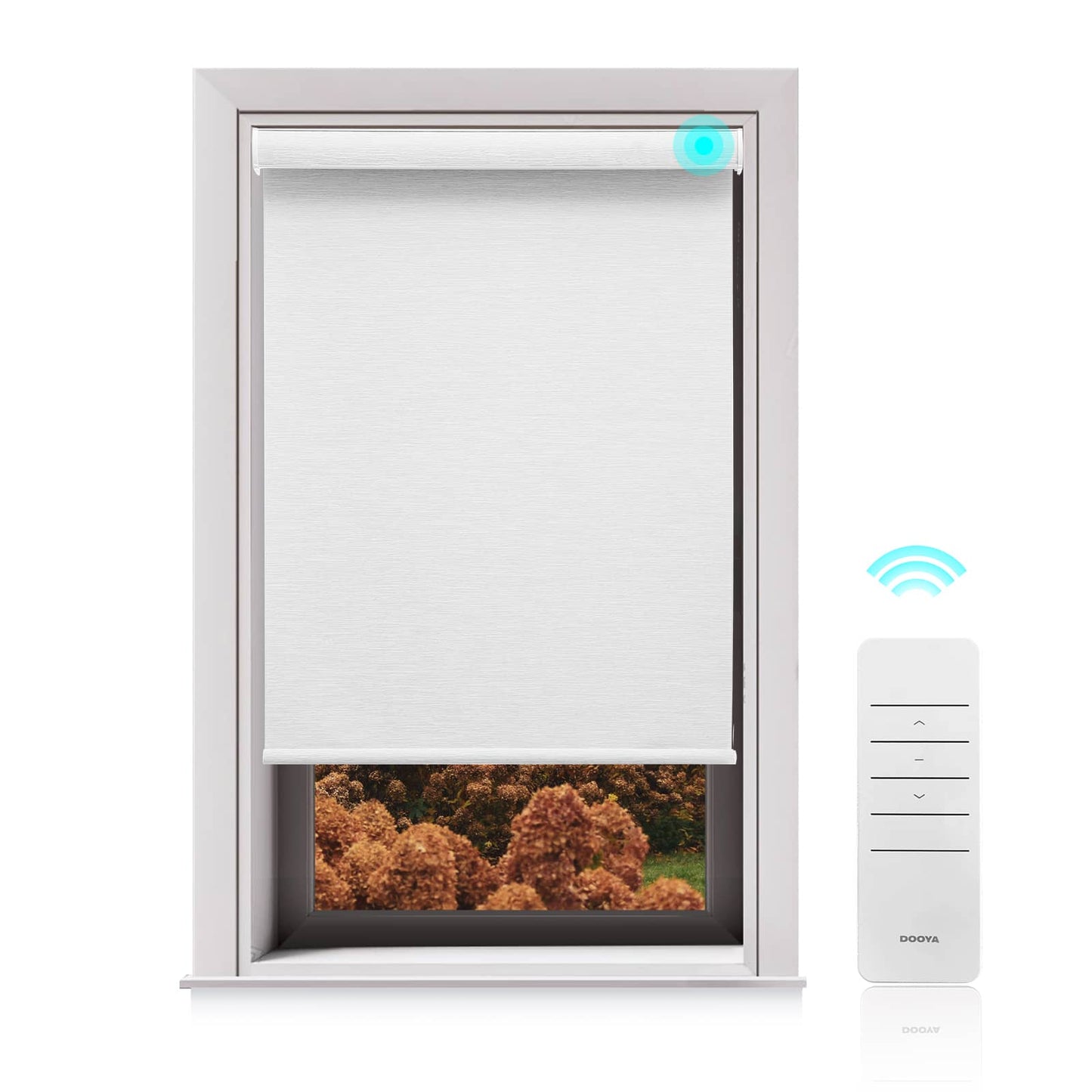 Motorized Blackout Roller Shades