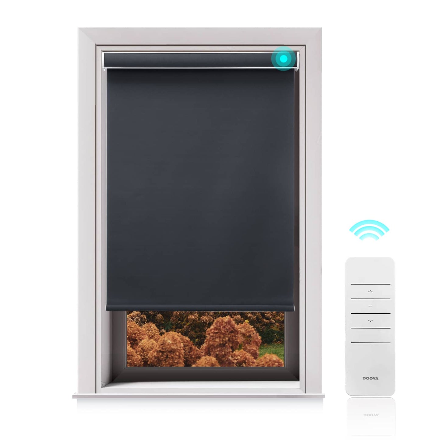 Motorized Blackout Roller Shades