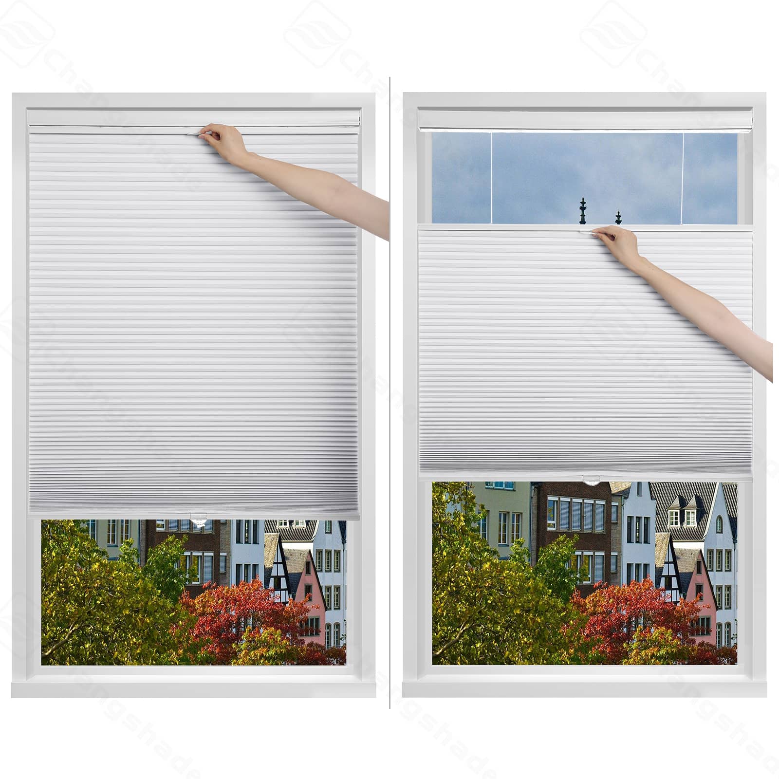 Custom Top Down Bottom Up Blackout Cordless Cellular Shades