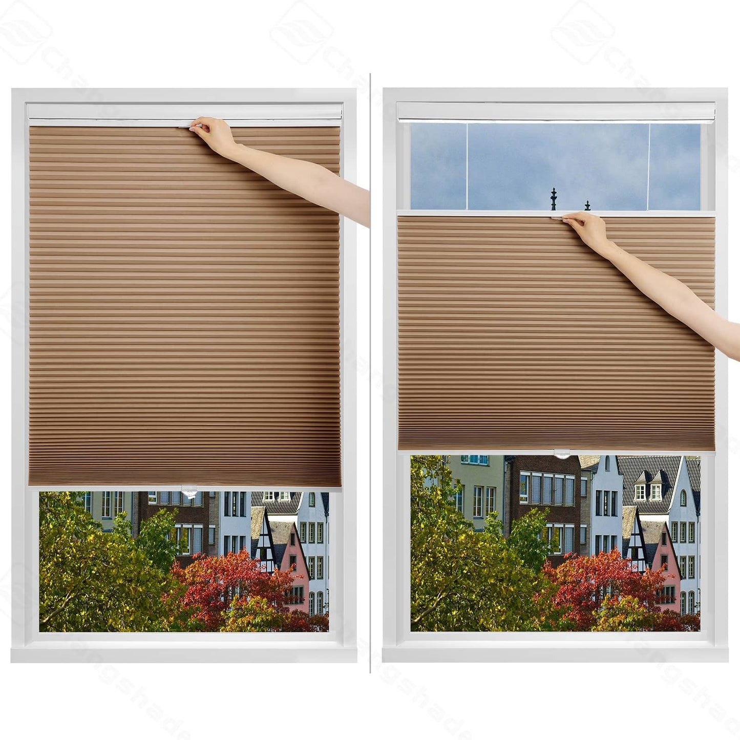 Custom Top Down Bottom Up Light Filtering Cordless Cellular Shades