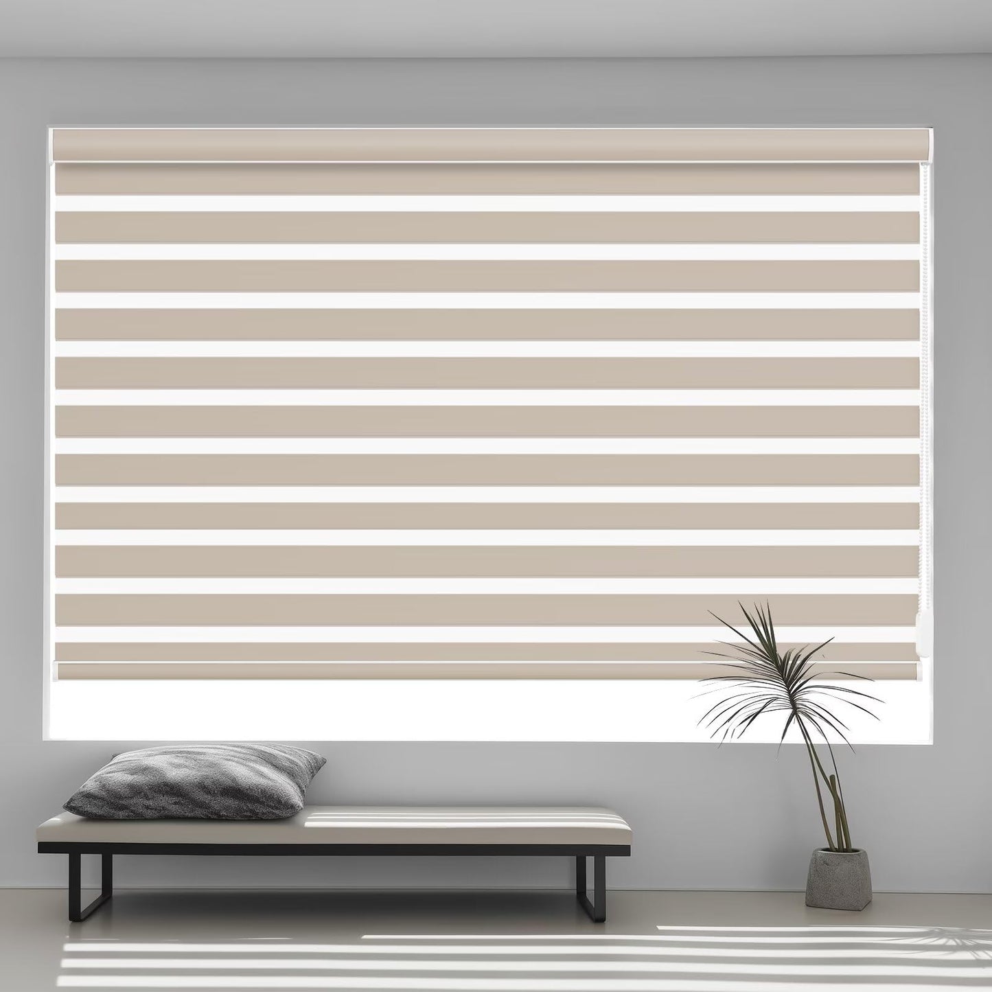 Custom Corded Blackout  Zebra Roller Shades