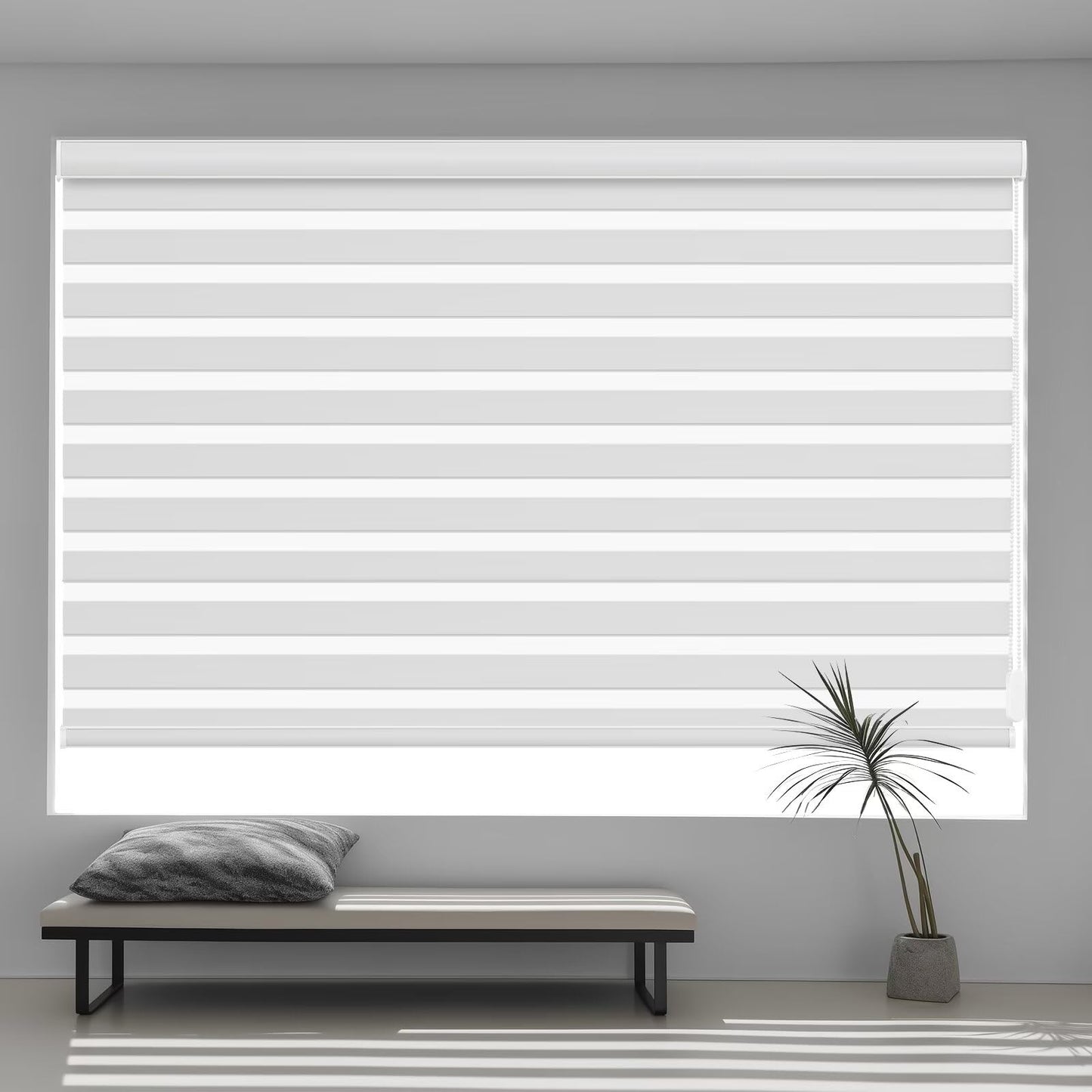 Custom Corded Blackout  Zebra Roller Shades