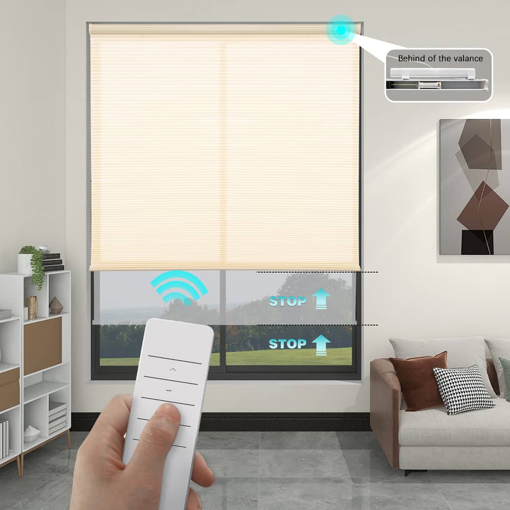 Motorized Light Filtering Cellular Shades