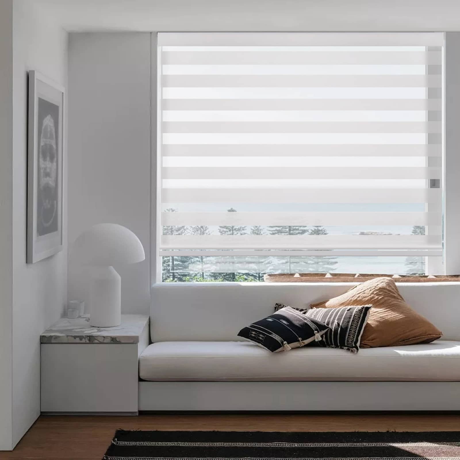 New Custom Light Filtering Cordless Zebra Roller Shades