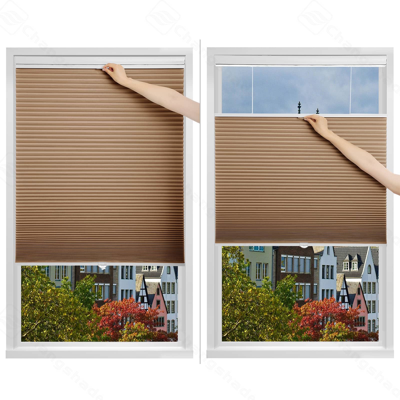 Custom Top Down Bottom Up Blackout Cordless Cellular Shades