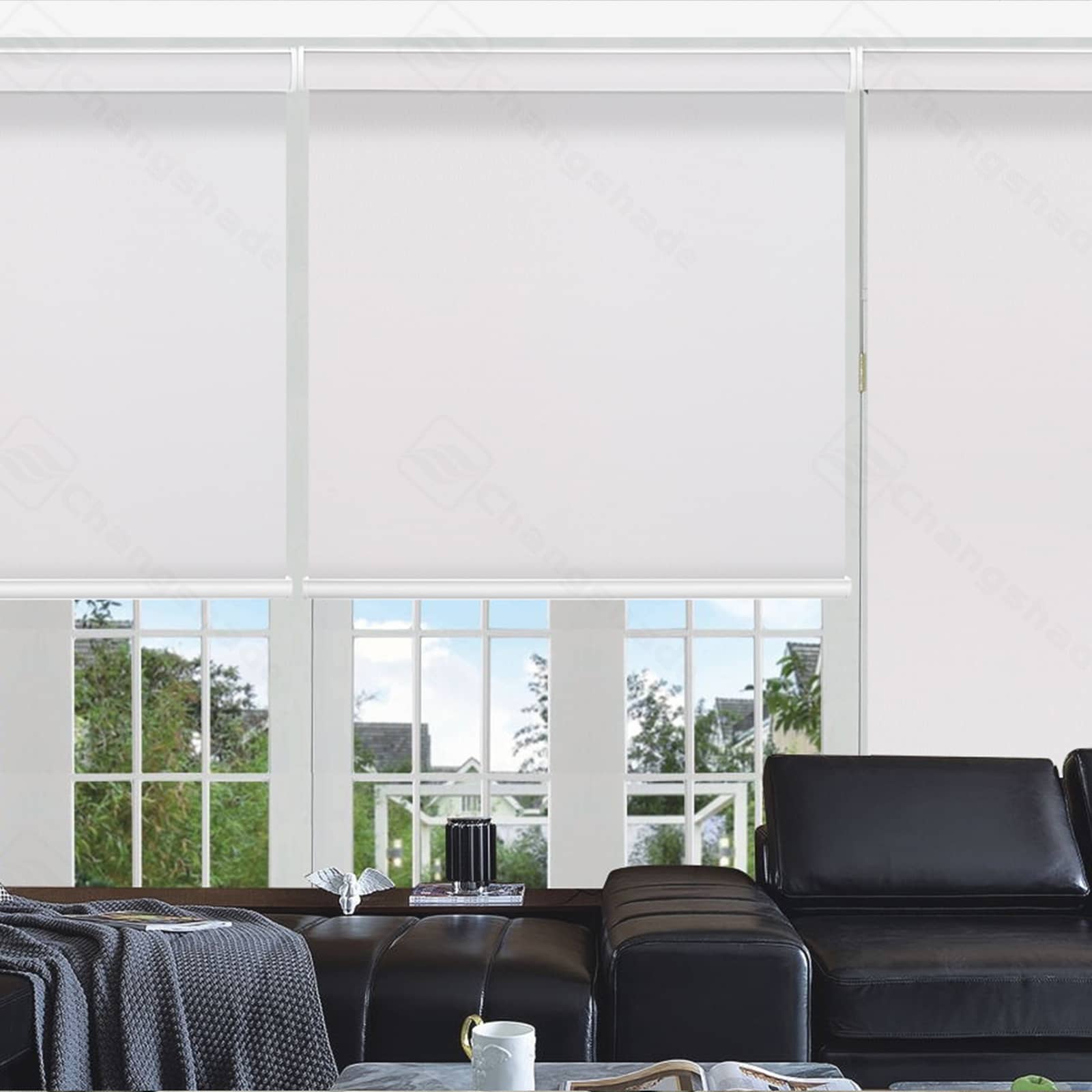Custom Cordless Blackout & Cover Roller Shades